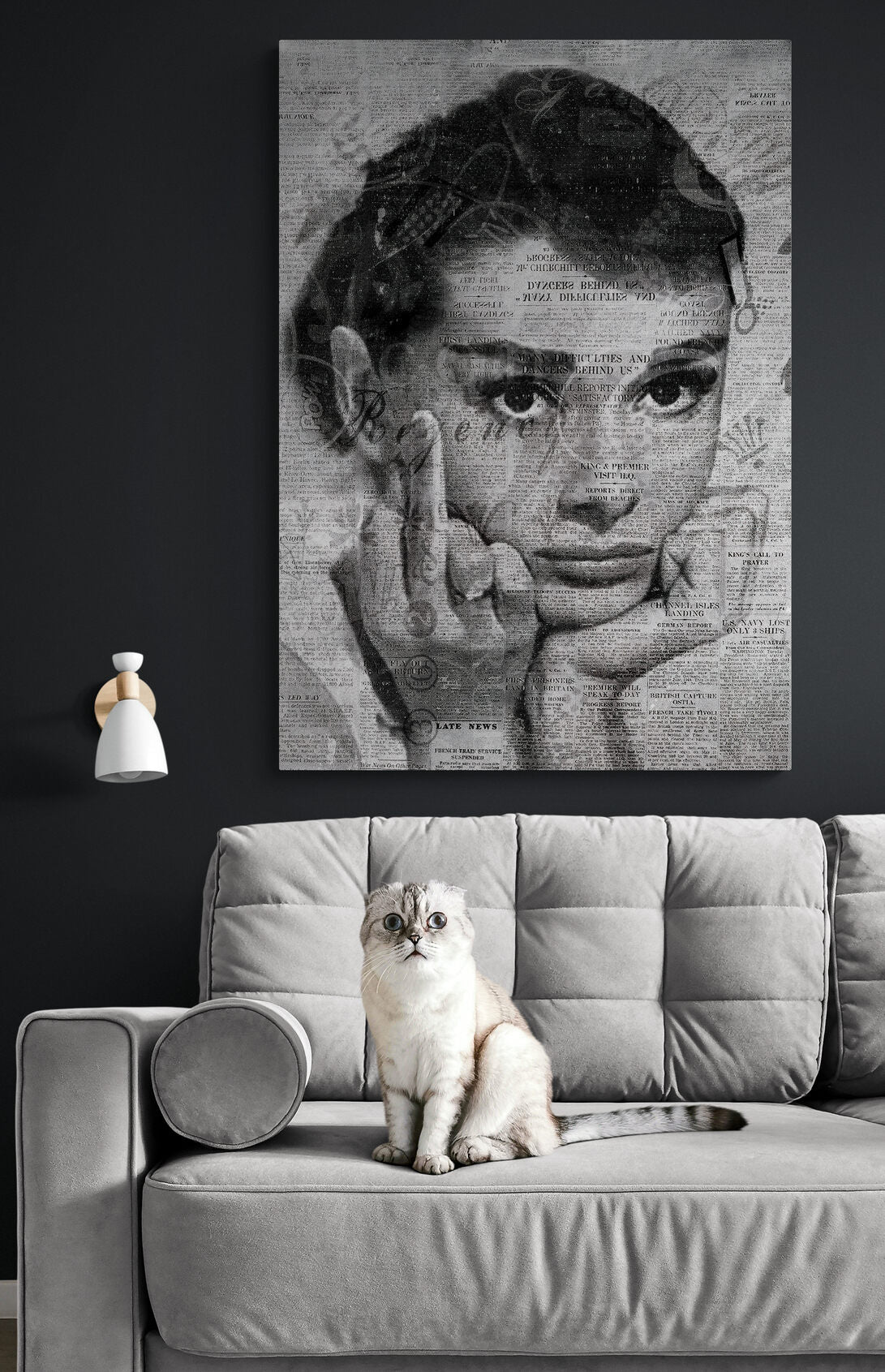 Audrey Hepburn Middle Finger Gesture Canvas Art